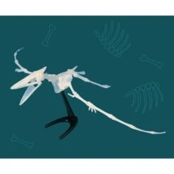 KOSMOS Nachtleuchtender Flugsaurier, Experimentierkasten -Spielzeugwelt Verkauf KOSMOS Nachtleuchtender Flugsaurier Experimentierkasten@@1877993 1