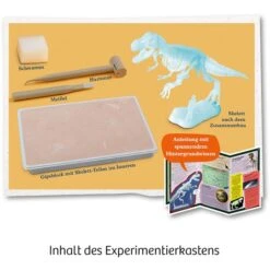 KOSMOS Nachtleuchtender T-REX, Experimentierkasten -Spielzeugwelt Verkauf KOSMOS Nachtleuchtender T REX Experimentierkasten@@1sgoe06y 3
