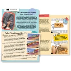 KOSMOS T-Rex 3D, Experimentierkasten -Spielzeugwelt Verkauf KOSMOS T Rex 3D Experimentierkasten@@1877992 3