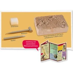 KOSMOS T-Rex Zahn, Experimentierkasten -Spielzeugwelt Verkauf KOSMOS T Rex Zahn Experimentierkasten@@1877994 2