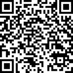 Salta Trampolin Premium Ground, Fitnessgerät 17 Salta Trampolin Premium Ground, Fitnessgerät -Spielzeugwelt Verkauf Salta Trampolin Premium Ground Fitnessger t@@1777989 15